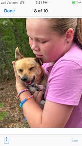 Lost dog found using unwashed clothing method in Summerville SC