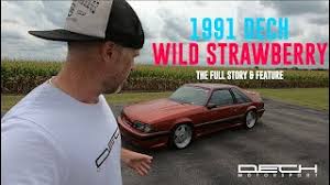 Image result for Wild Strawberry 1991 Tempo