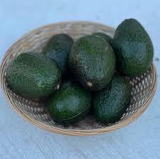 Haas Avocados - each – Farm 99