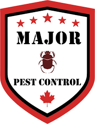 I booked a pest control service from one of the service providers in dizzi. Pest Control Edmonton Major Pest Control Bed Bugs Mice Cockroaches