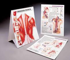 o 813 6 personel 86 trigger point chart