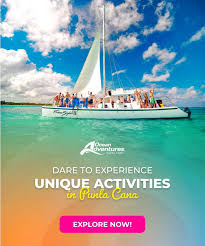 Welcome to the Family, Dolphin Connection!