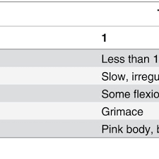 The Conventional Apgar Scoring System As Introduced By