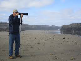 Last Lowest Tides Of The Year Occur Each Morning This Weekend Yachatsnews Com