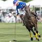 The Hunterdon Polo Classic