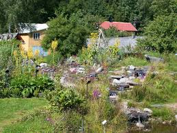 Bildergebnis für schwedisch kräuter