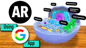 The school, which topped the league table for veterinary science in the guardian's 2015 university guide, is seeking to further enhance its offer by developing augmented reality (ar). Ar Using Google App Study Of Eukaryotic Cell Use Of Augmented Reality In Education Youtube
