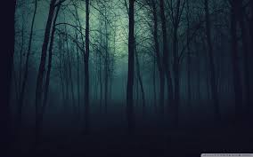 You have survived a jet crash, but you must now avoid cannibals. Free Photo Dark Forest Bspo06 Dark Forest Free Download Jooinn