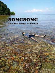 Walau bagaimanapun, pelancong masih boleh berkunjung untuk trip harian. Kuala Sepetang Eco Tourism Matang Mangrove Forest Reserve Tour Bird Watch Fireflies Sighting Pakej Percutian Ke Pulau Songsong Kedah