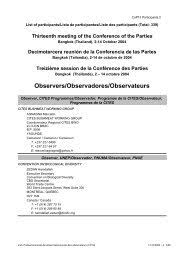 Image result for Stolzia cupuligera