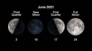 Here's what your zodiac sign can expect from the celestial event, per a professional astrologer. June Skywatching Tips Solar Eclipse And The Scorpion S Sting