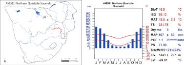 Image result for Tragus koelerioides