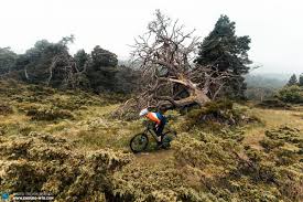 • brake before entering curves, downhills, or other potentially washboarded stretches of road. The Best Short Travel Trail Bike 6 Mountain Bikes In Test Enduro Mountainbike Magazine