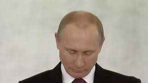 .gif,.gifv,.ogg,.mp4, and.webm format submissions only, please! Putin Gif Find On Gifer