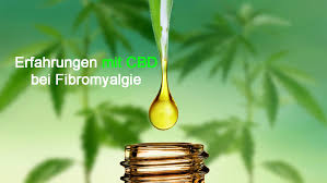 Lær årsakene, symptomene og tegnene på fibromyalgi og medisinene som brukes i behandlingen. Erfaring Med Cbd I Fibromyalgi Fibromyalgi Cbd Dosering