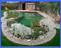 15 Beautiful Inspiring Garden Pond Design Ideas Raised Garden Pond Ideas Fountains Backya Garden Pond Design Natural Swimming Ponds Swimming Pool Pond