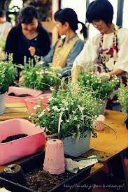 8月の園芸教室 涼しげな夏の寄せ植え 最終日 園芸 寄せ植え 涼しげ