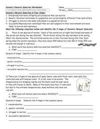 Back to natural selection worksheet. 120 Evolution Ideas In 2021 Evolution Teaching Biology Life Science