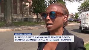 Plainfield mayor announces removal of planning board member who made  offensive comments