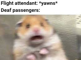 Dopl3r Com Memes Flight Attendant Yawns Deaf Passengers