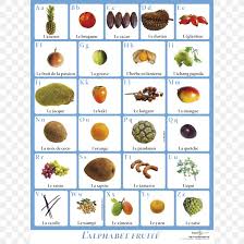 Community contributor this post was created by a member of the buzzfeed community.you can join and make your own posts and quizzes. Fruit English Alphabet Letter Case Png 1024x1024px Fruit Alphabet English English Alphabet Flower Download Free