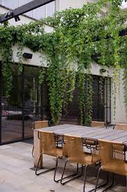 The heady fragrance, colorful flowers, and edible fruits make it one of the most desirable climbing plants you can have in your garden. Wonder Wall The Climbing Plants That Can Improve Your Garden Houzz Nz