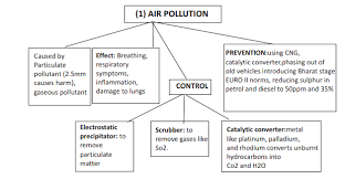 Cbse Class 12 Biology Environmental Issues Flow Chart