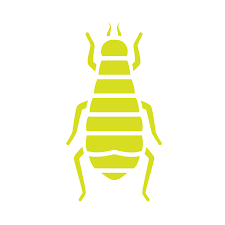 Do you suspect bed bugs? Bed Bug Service Green Valley Pest Control Lawn Care