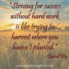 Pin On 4 H Program Assistant