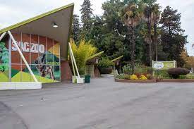 It is very easy to find a valid promo code as the zoo releases them on a regular basis. Sacramento Zoo Adds New Permanent Residents Continues Its Work During Pandemic Sac City Express
