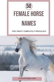 Do You Have A Horse In Your Life That You Are Hoping To Name Or Nickname Then This Article Of Our Favorite 50 Femal Female Horse Horse Show Names Horse Names