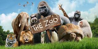 Download a zoo map (updated october 2020). Zoo Media Linkedin