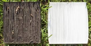 Change your furnace filter more often with pets. How Often Should I Change My Home Ac Filter In Florida