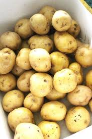 5 Genius Ways To Store Potatoes In 2020 How To Store Potatoes Potatoes Food Printables