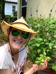 I want to start my seeds inside with a grow light what medium should I use?  And also what do I use in my milk carton starters? And do u poke holes