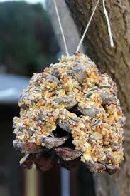 Comment Faire Des Boules De Graisse Pour Oiseaux Paperblog Nourriture Oiseaux Graine Oiseau Mangeoires Pour Oiseaux Faites Maison