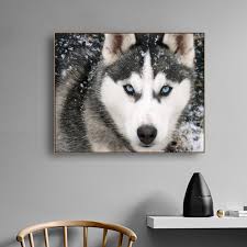 Balanced compositions of pictures, frames, crafts and artworks complement in living room interior decorating. Extra Large Wall Art Husky Dog Multipanel Wall Print Husky Dog Modern Canvas Print Siberian Husky Unique Decor Living Room Siberian Husky Art Collectibles Prints Seasonalliving Com