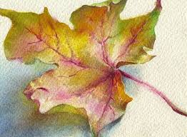 Blog Archives Ms Chang S Art Classes Watercolor Autumn Leaves Watercolor Leaves Leaf Art