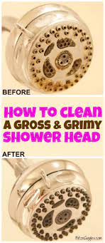 How To Clean A Shower Head Shower Cleaner Cleaning Hacks Shower Heads