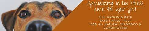 Последние твиты от earthwise pet supply (@earthwisepetsd). Earthwise Pet Allen