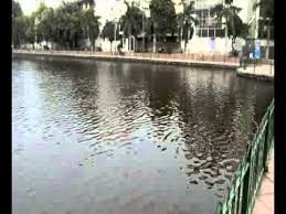 Image result for model town