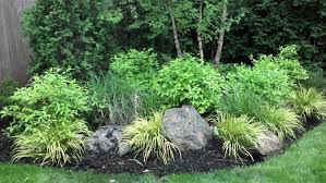 Rain Garden With Blue Boulders Rain Garden Design Rain Garden Shade Garden