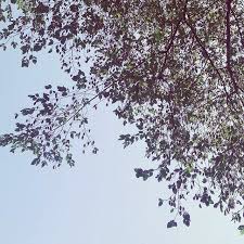 Veronica De Mari Vero Nikyf15 Instagram Photos And Videos Instagram Instagram Photo Photo