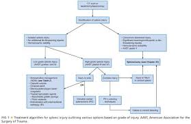 The 1a recommendations included management based on hemodynamic status rather than grade of injury, support for an abbreviated period of bed rest, transfusion thresholds of 7.0 g/dl, exclusion of. Splenorrhaphy Abdominal Key