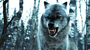 Don T Bite The Hand That Feeds You Gif Https Encrypted Tbn0 Gstatic Com Images Q Tbn 3aand9gcrisp4f76iqhkmfttcvfmmzsrypp5c5tvtvxw Usqp Cau