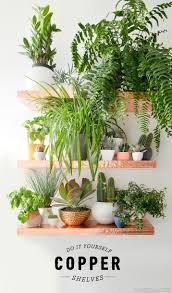 And how i propagate those plants to get more plants for free here. Anthro Inspired Diy Copper Shelves Vintage Revivals