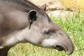 In unserem nachrichtenticker können sie live die neuesten eilmeldungen auf deutsch von portalen, zeitungen, magazinen und blogs lesen sowie nach älteren meldungen suchen. Unsere Tiere Zoologischer Garten