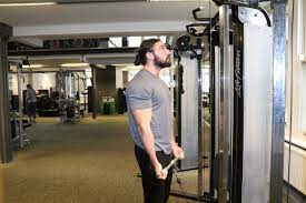 Cable Bicep Curl Videos Variations Origym