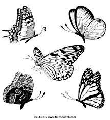 Check spelling or type a new query. Black A White Set Of Butterflies Of Tattoos White Butterfly Tattoo White Bird Tattoos Butterfly Black And White