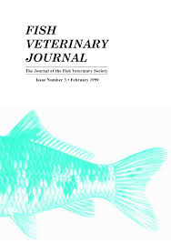 Look for obvious physical symptoms on the dead fish which can suggest the cause if death. Pdf Clinical Observations Of Severe Mortalities In Koi Carp Cyprinus Carpio With Gill Disease